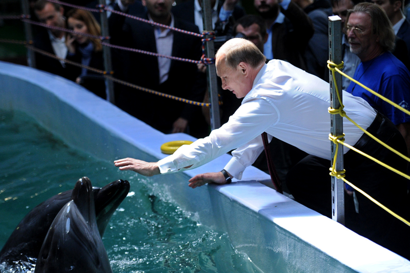 Illustration for article titled Ukraine Update #3: Putin Adopts Dolphins, Tells Kiev To Pay Up